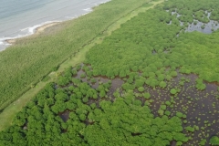 Réserve Naturelle de l'Amana